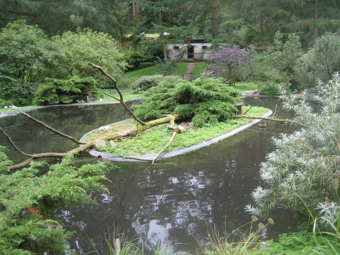 Rostock Zoo - South American duck exhibit
