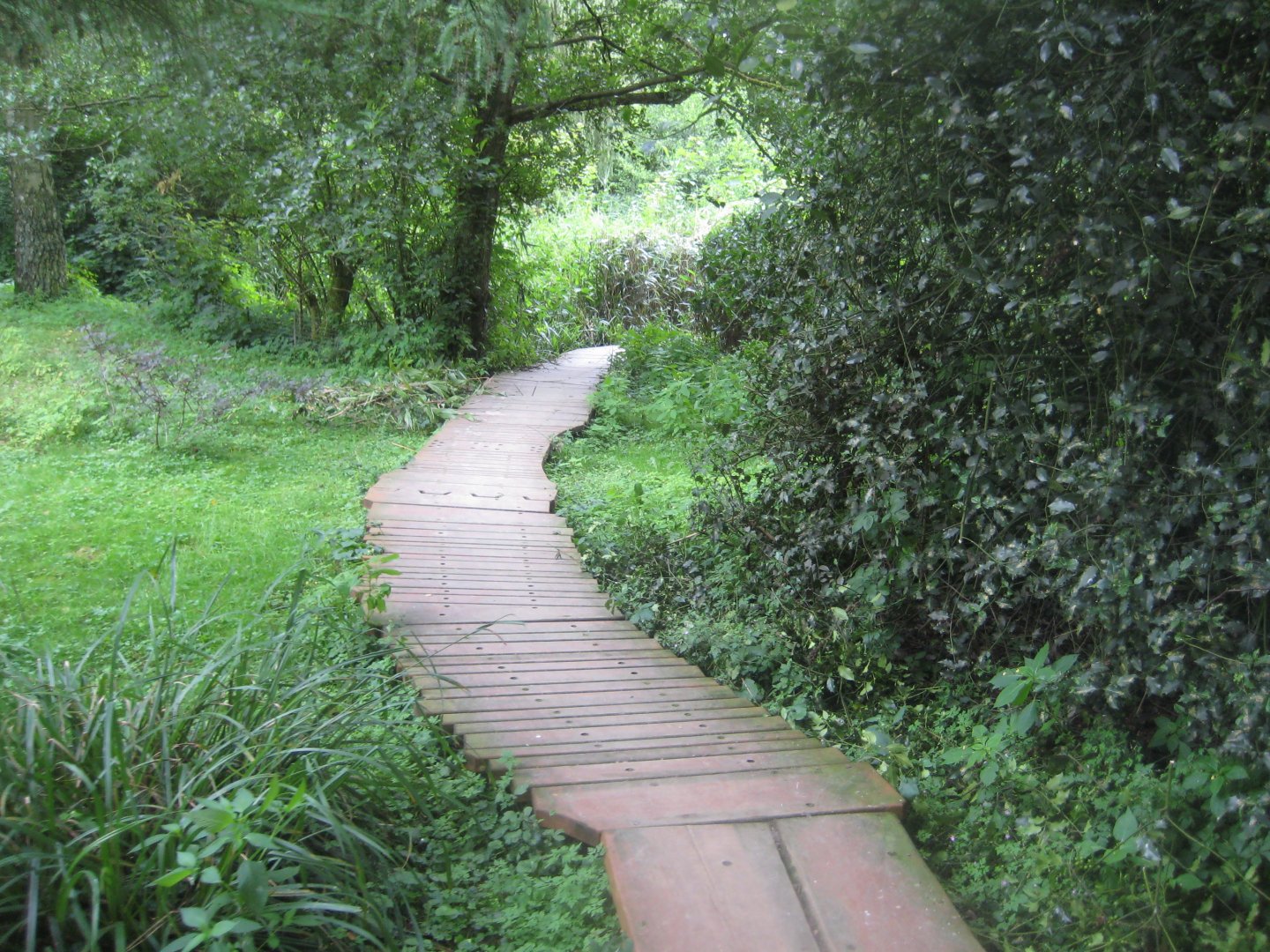 Rostock Zoo - South American duck exhibit