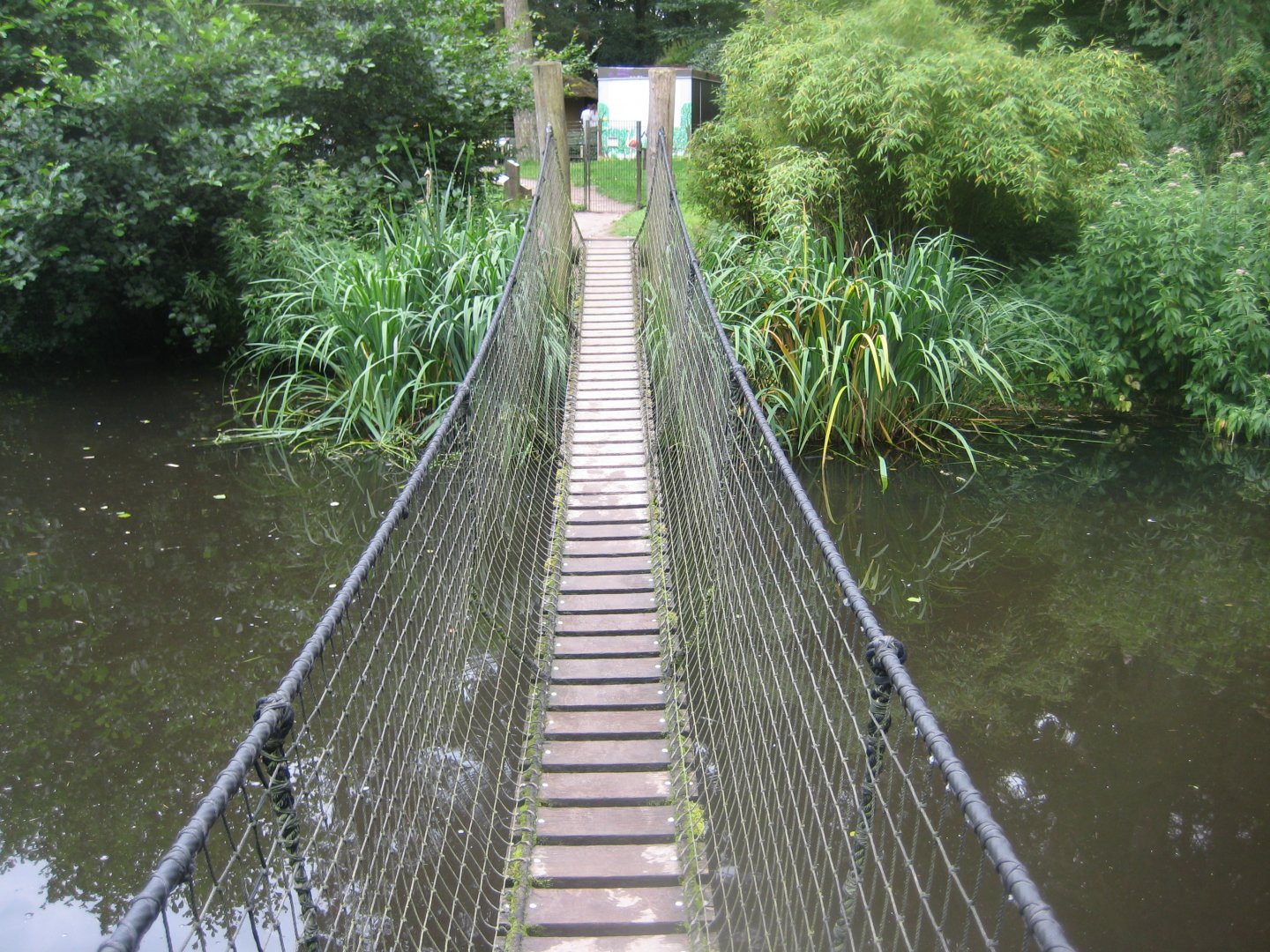 Rostock Zoo - South American duck exhibit
