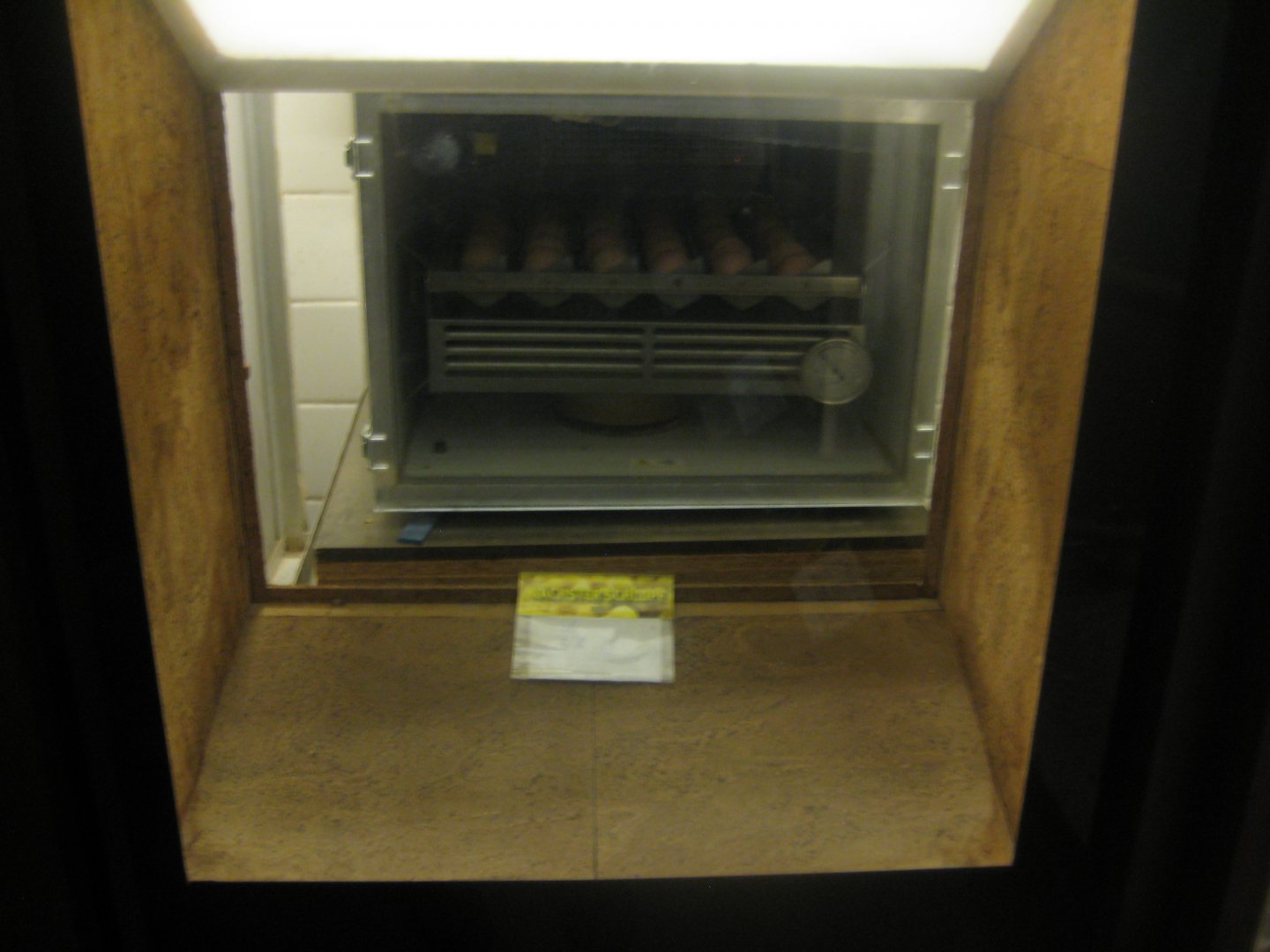 Rostock Zoo - Transformation house - Incubator