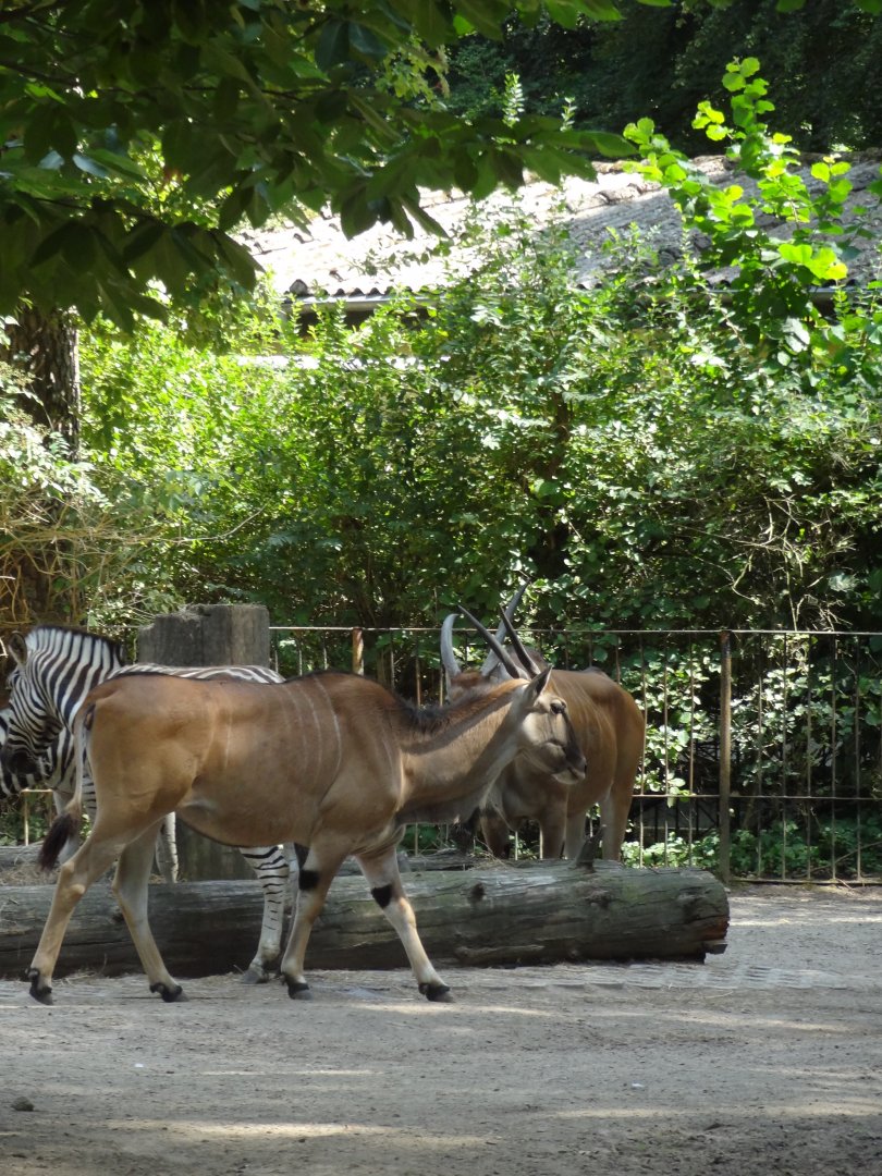 Rostock Zoo