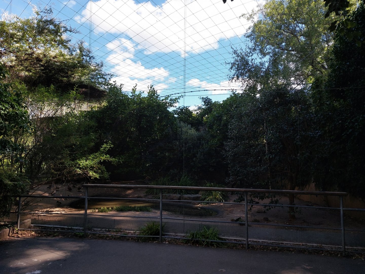 Rosy starling and waterfowl aviary