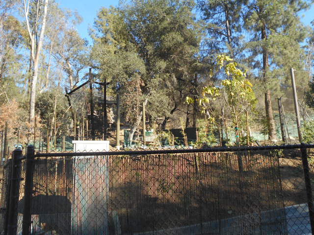 ROTA construction November 2013