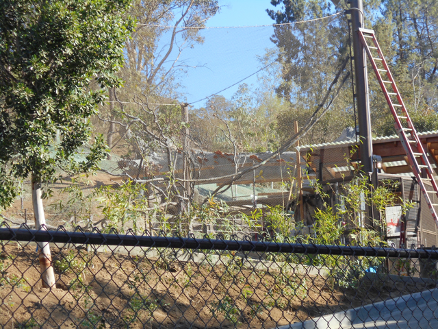 ROTA construction November 2013