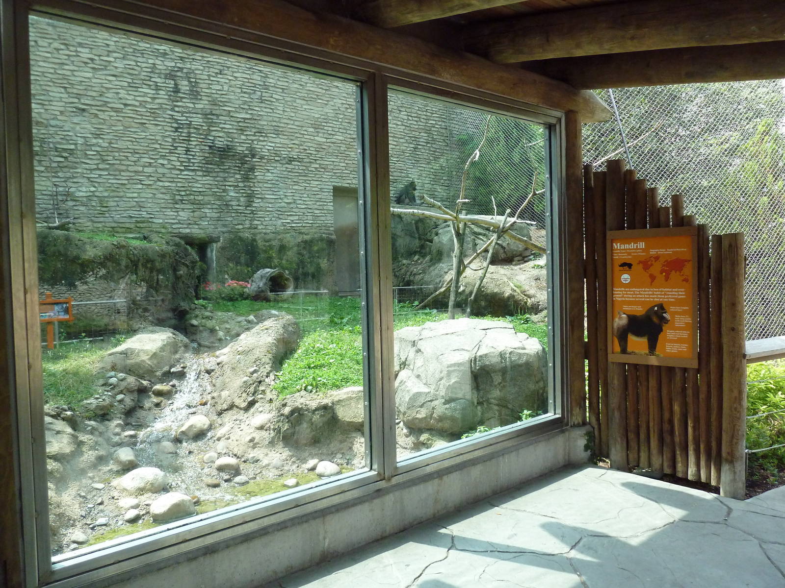 Rotation Exhibit - Serval + Mandrill Enclosure