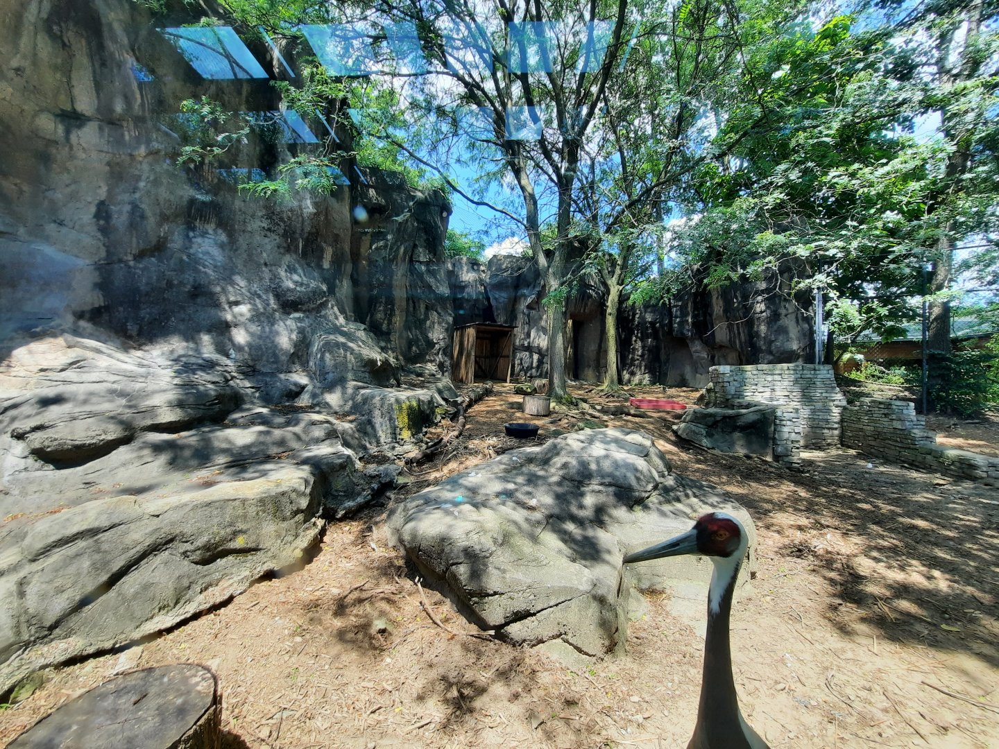 Rotational Asian Bird Exhibit