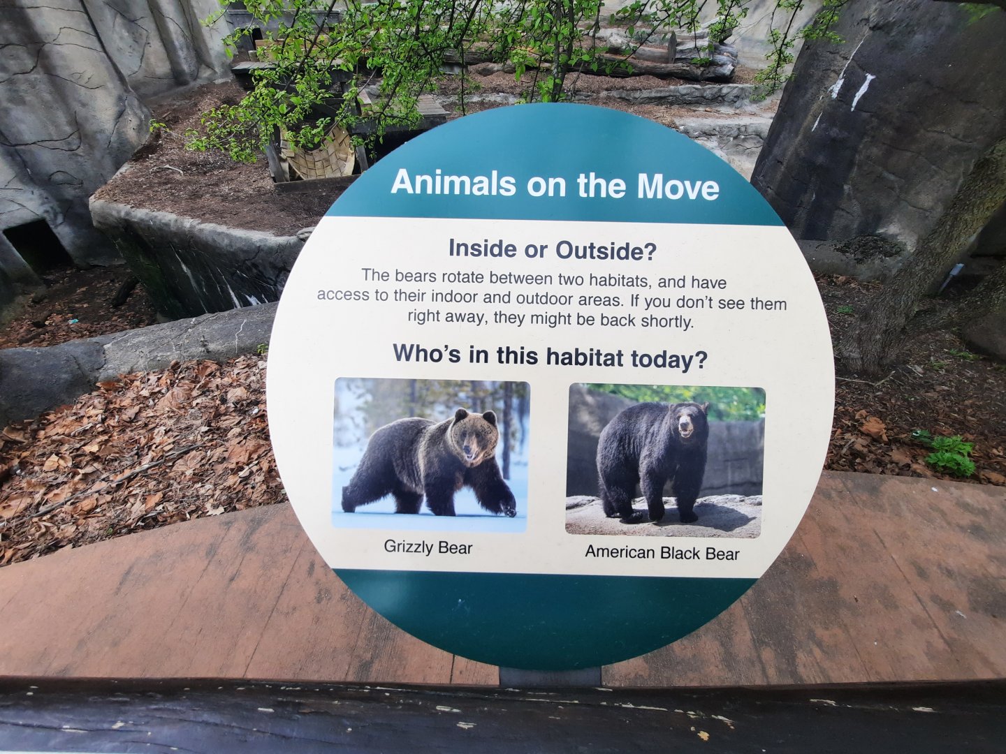 Rotational bear exhibit sign