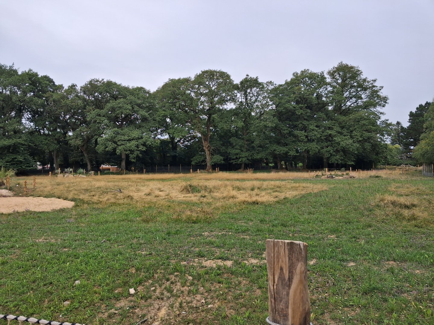 Rotational Chaco exhibit 1