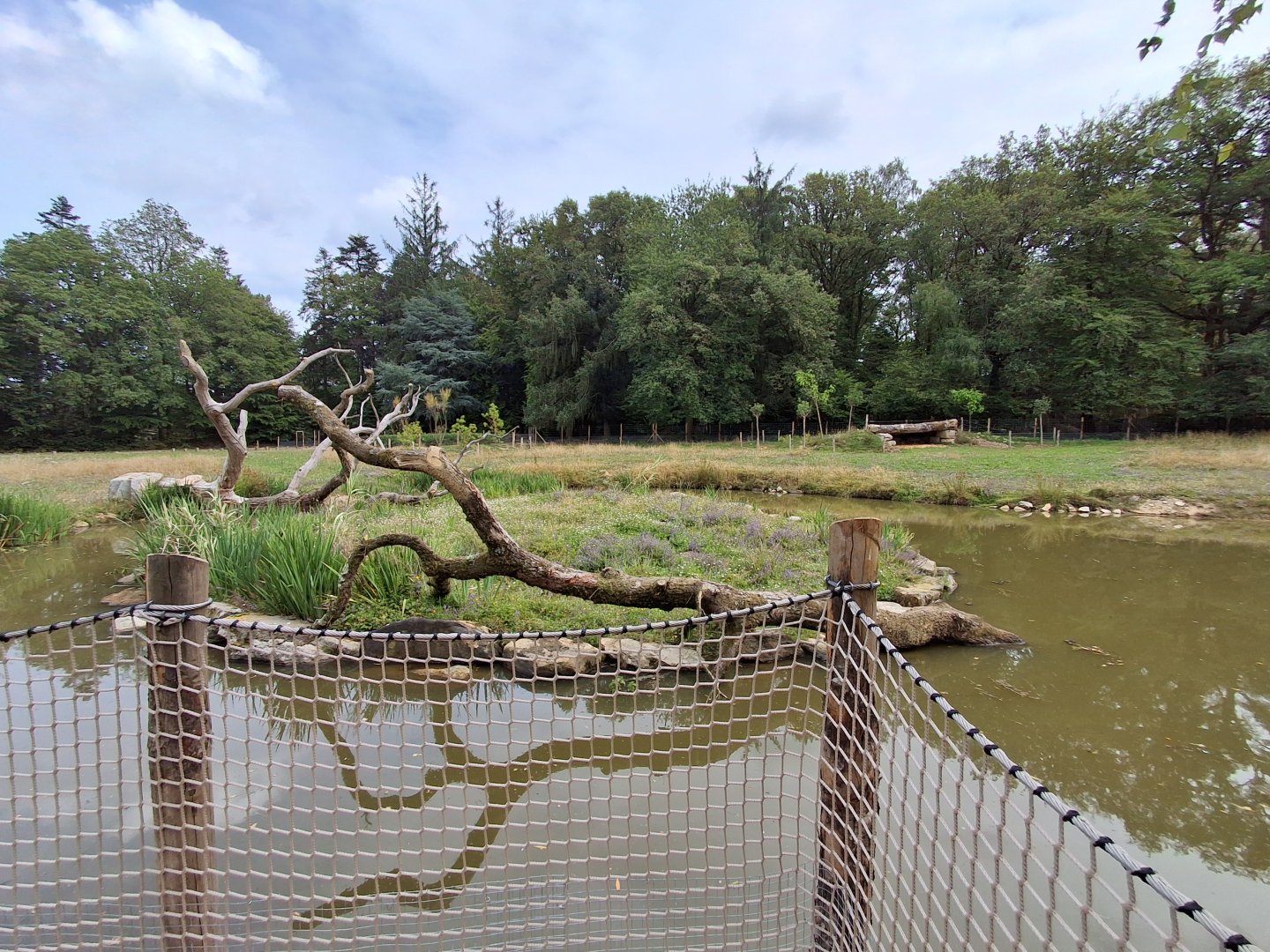 Rotational Chaco exhibit 2 - Secondary view