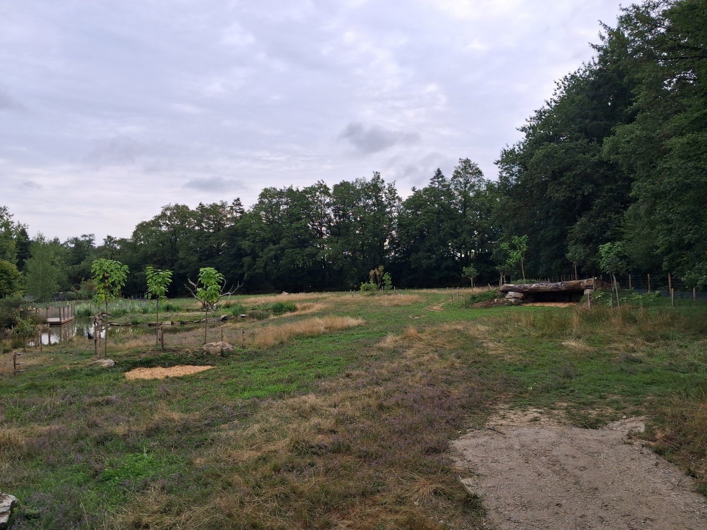 Rotational Chaco exhibit 2