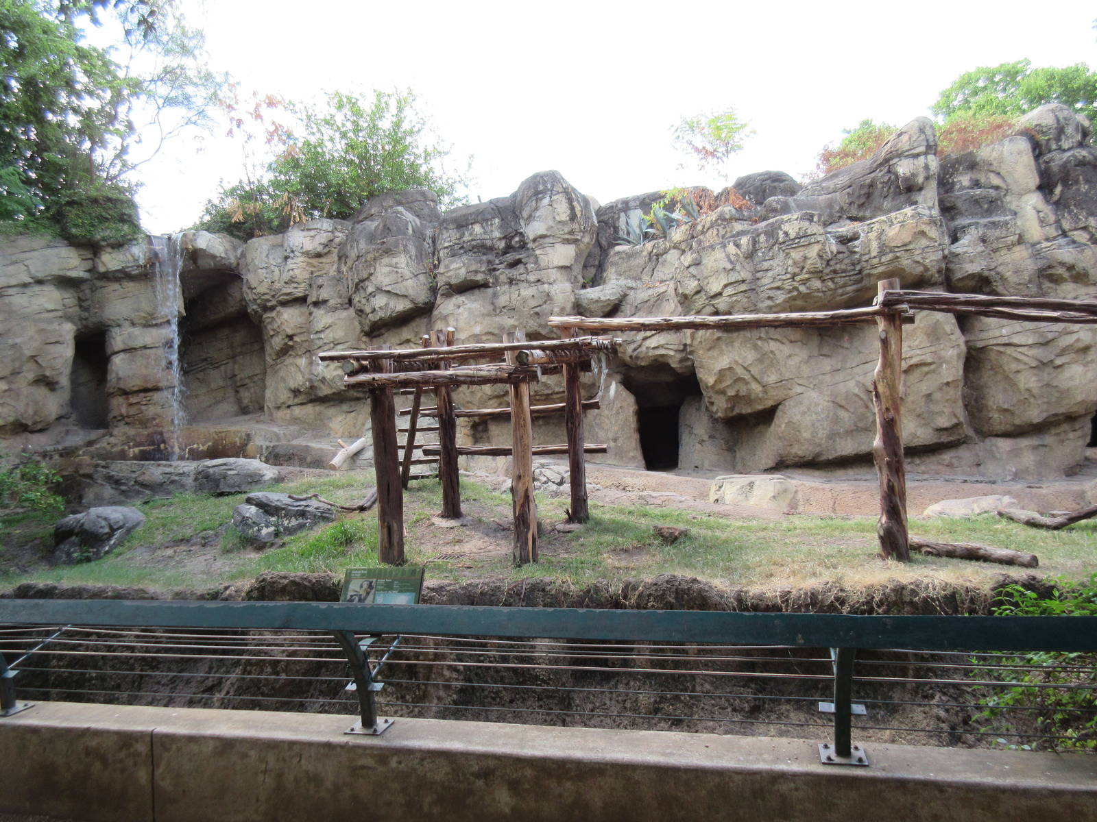 Rotational Exhibit - American Black Bear/Andean Bear