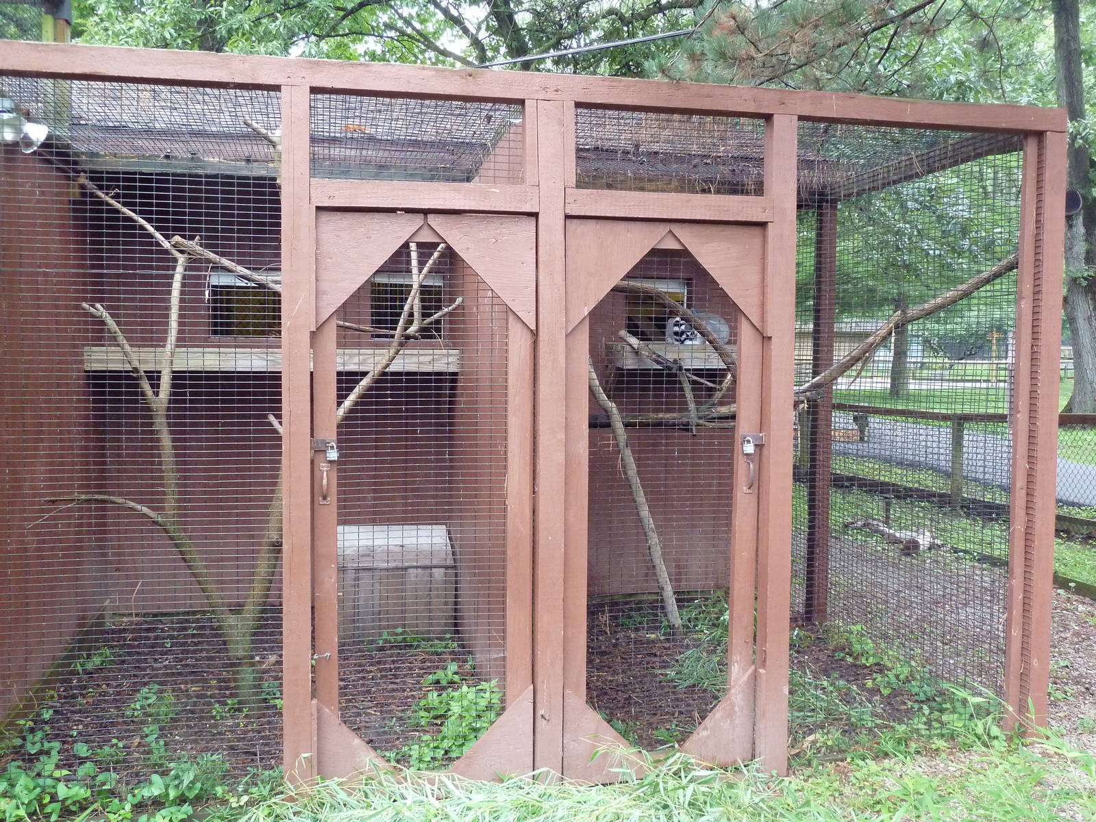 Rotational Lemur Exhibit