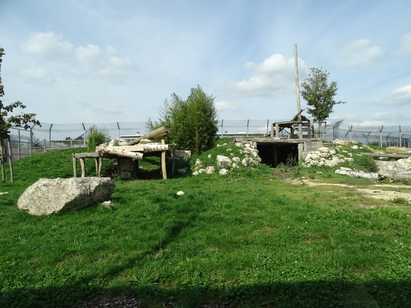 Rotational lion and tiger exhibit