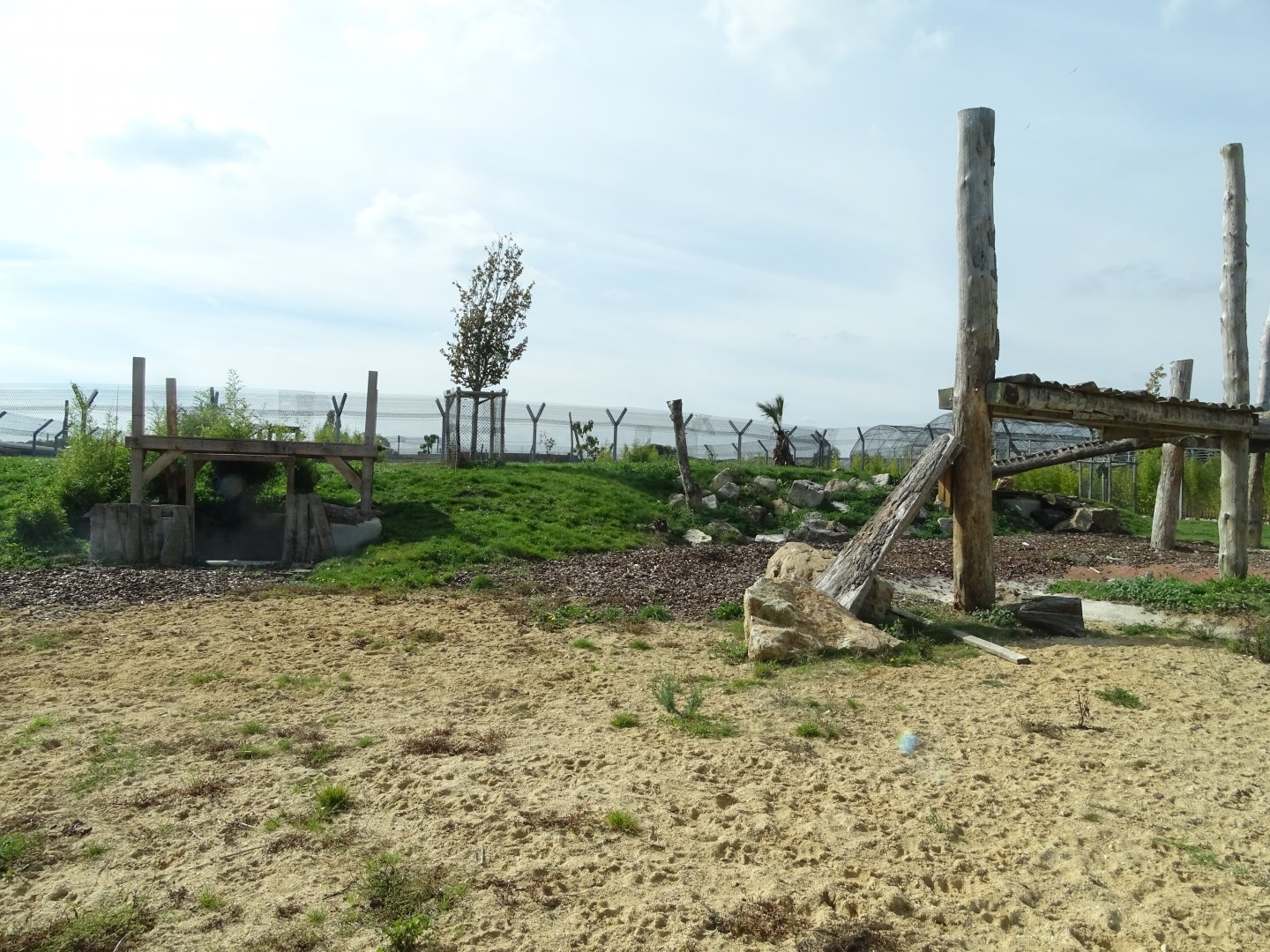 Rotational lion and tiger exhibit