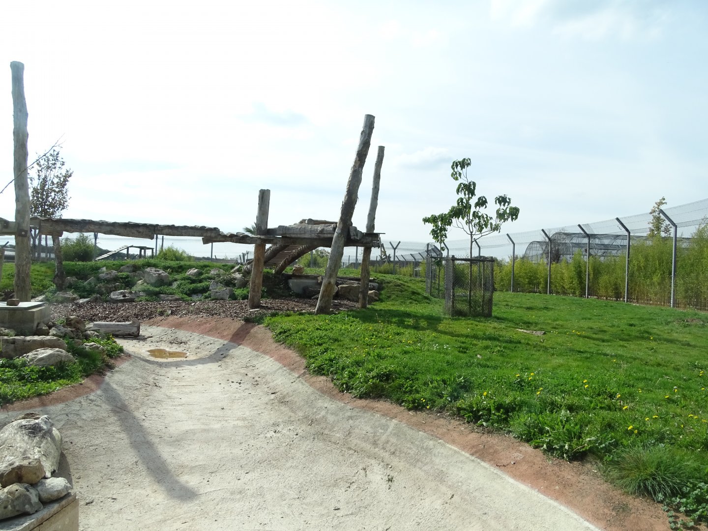 Rotational lion and tiger exhibit