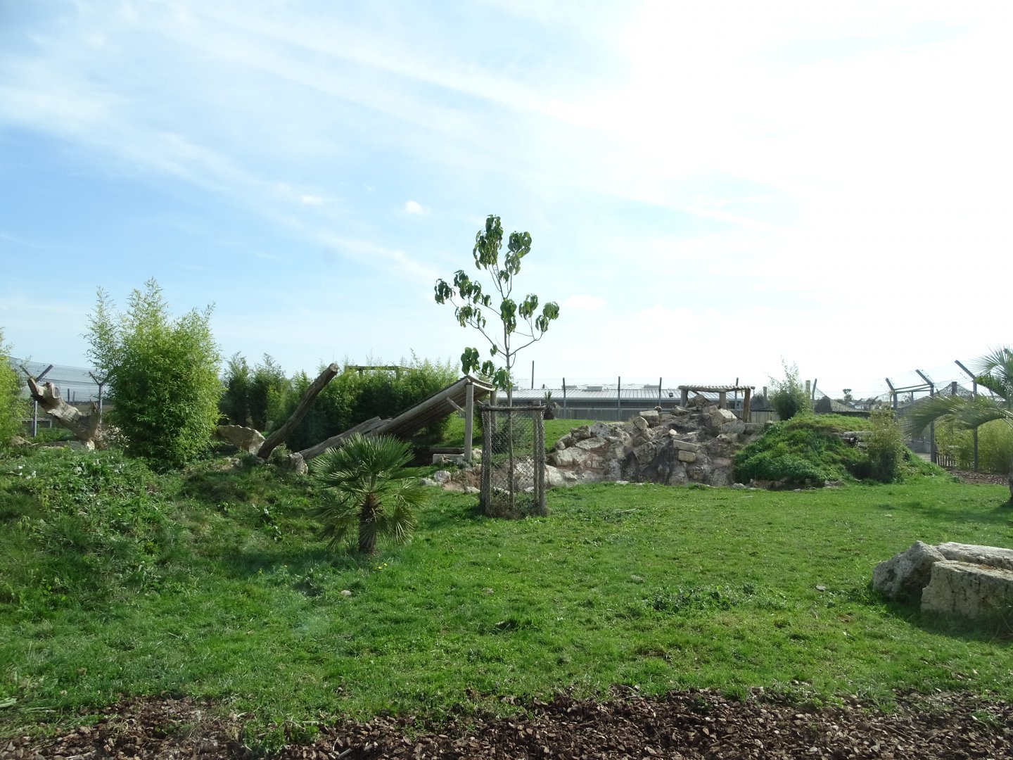 Rotational lion and tiger exhibit