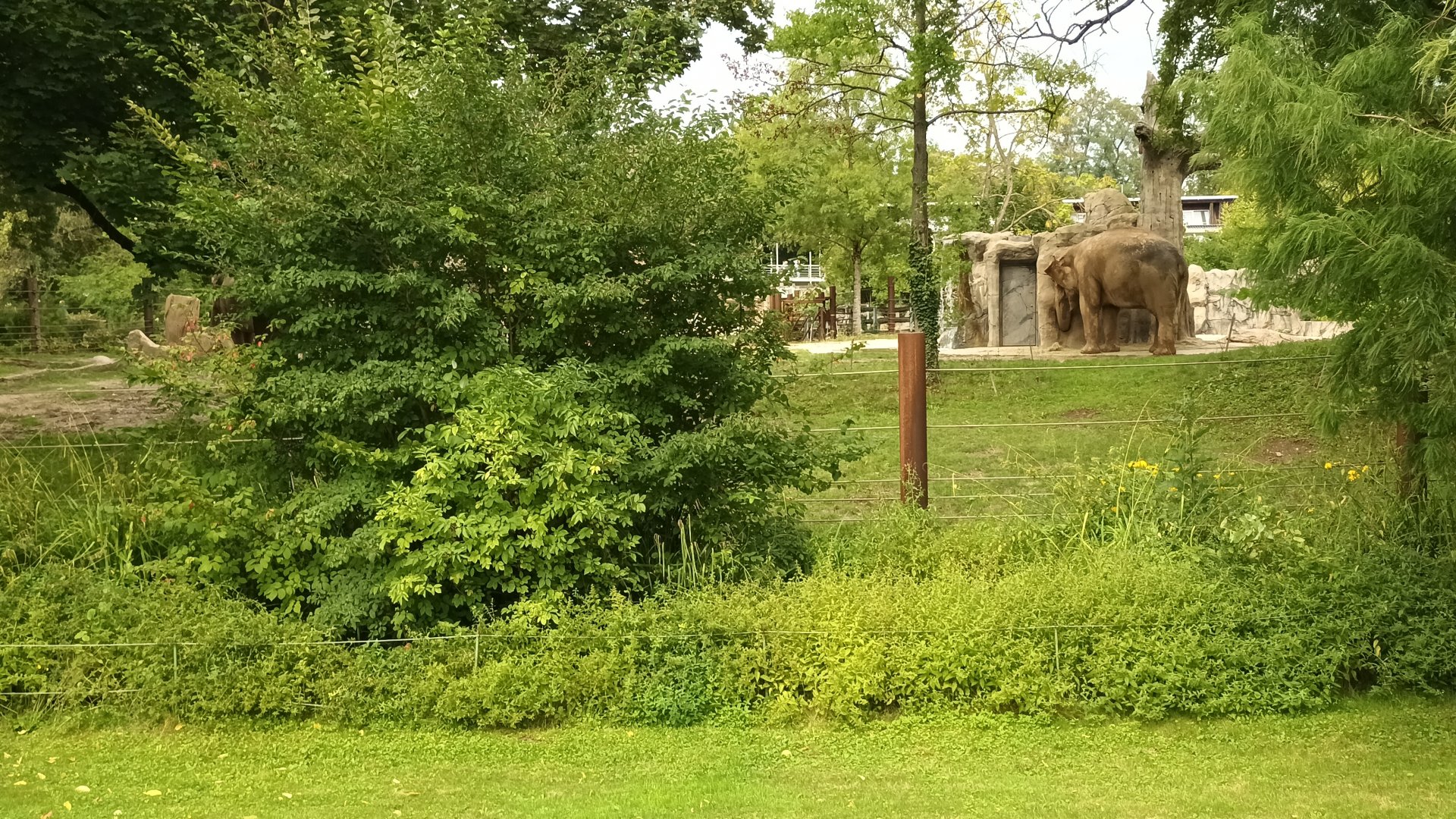 Rotational Pachyderm Enclosure