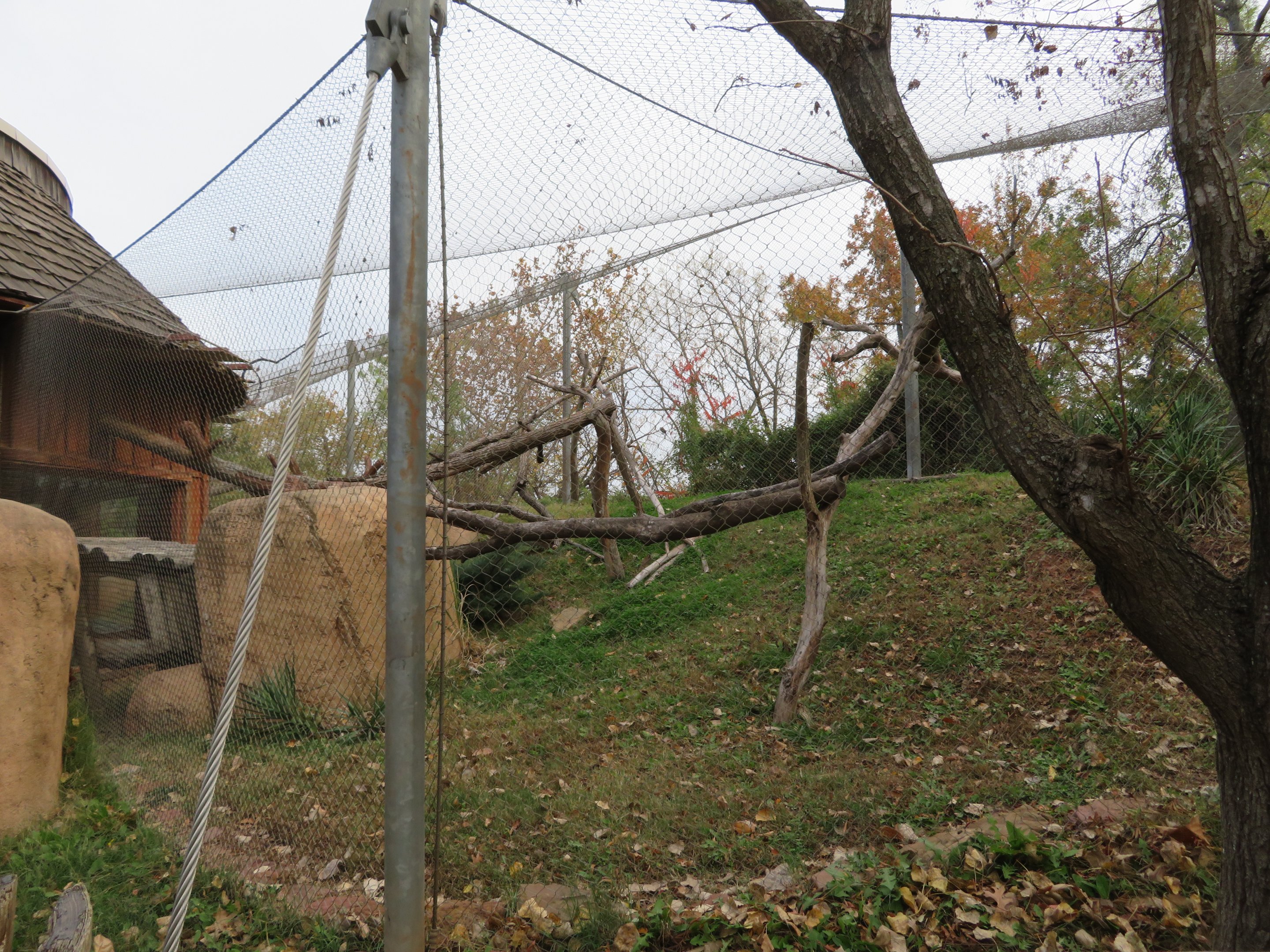 Rotational Small Cat Exhibit