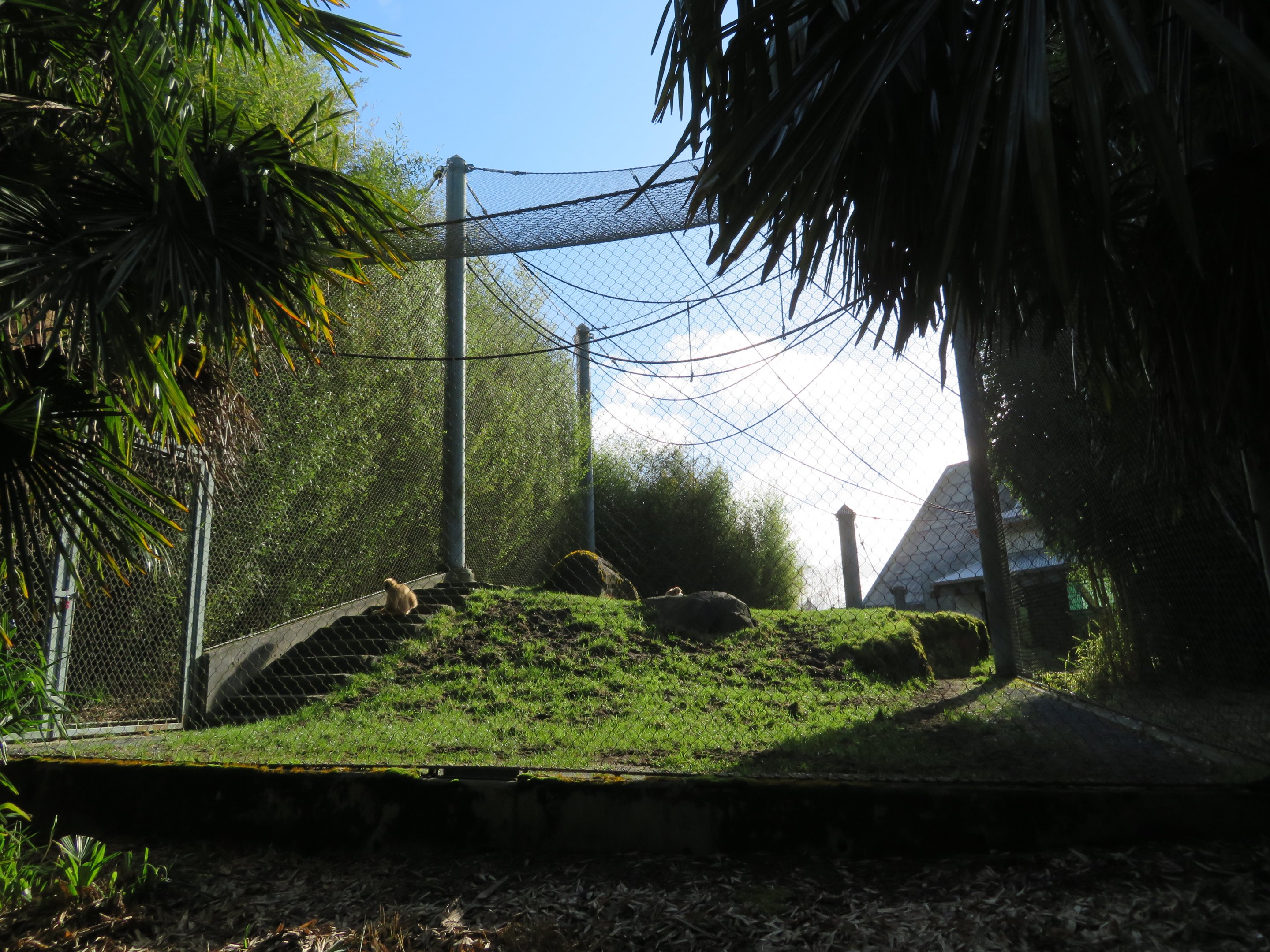 Rotational Yard (with Lar Gibbons)