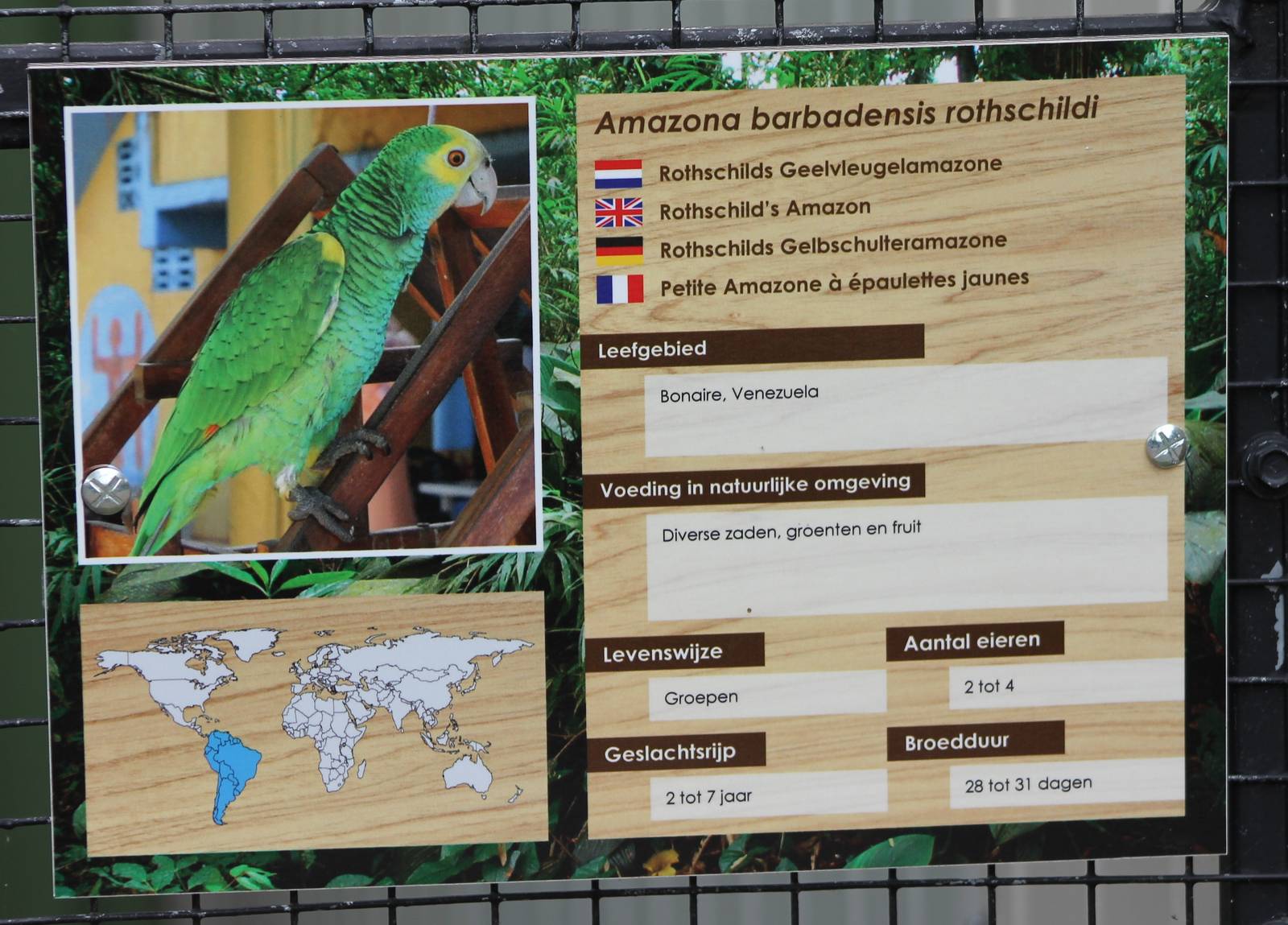 Rothschild's amazon sign