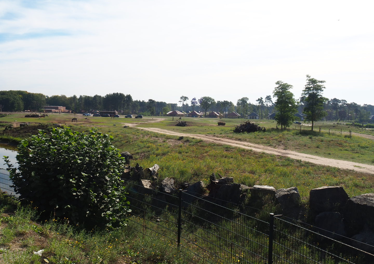Rothschild's giraffe, black sable antelope and Grévy's zebra plains, 2019-09-15