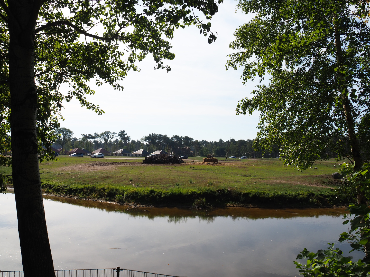 Rothschild's giraffe, black sable antelope and Grévy's zebra plains, 2019-09-15