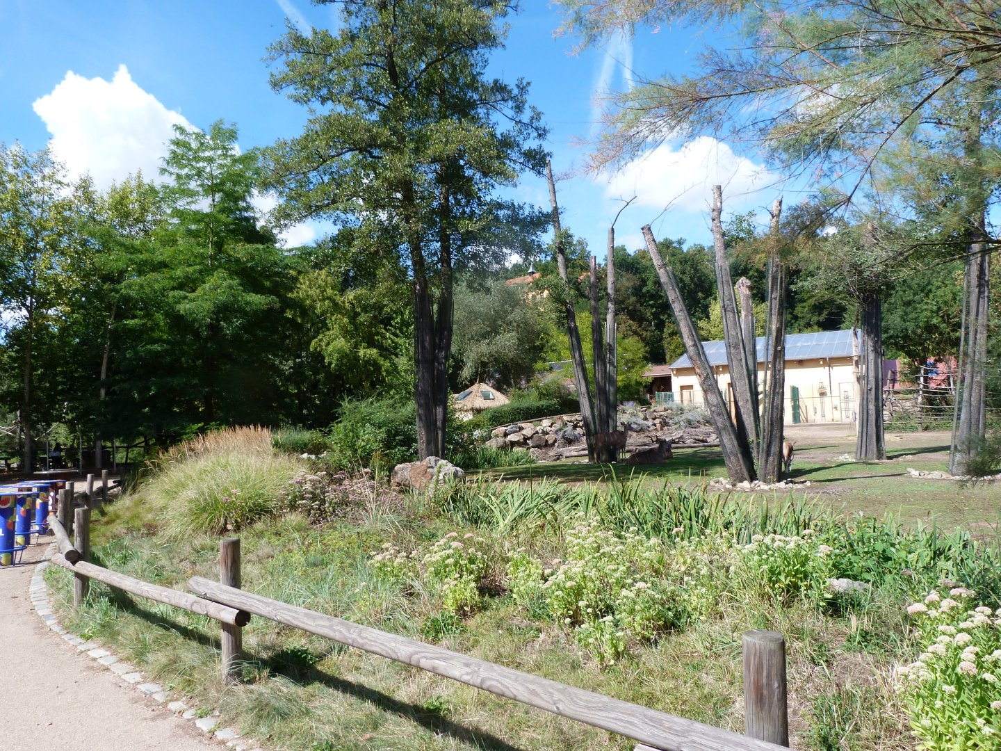 Rothschild's giraffe, Blesbok and Greater kudu exhibit -Zoo Plzeň (2025)