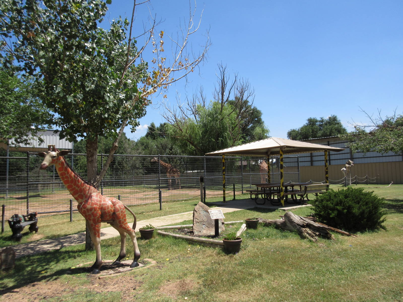 Rothschild's Giraffe Exhibit + Giraffe Statue