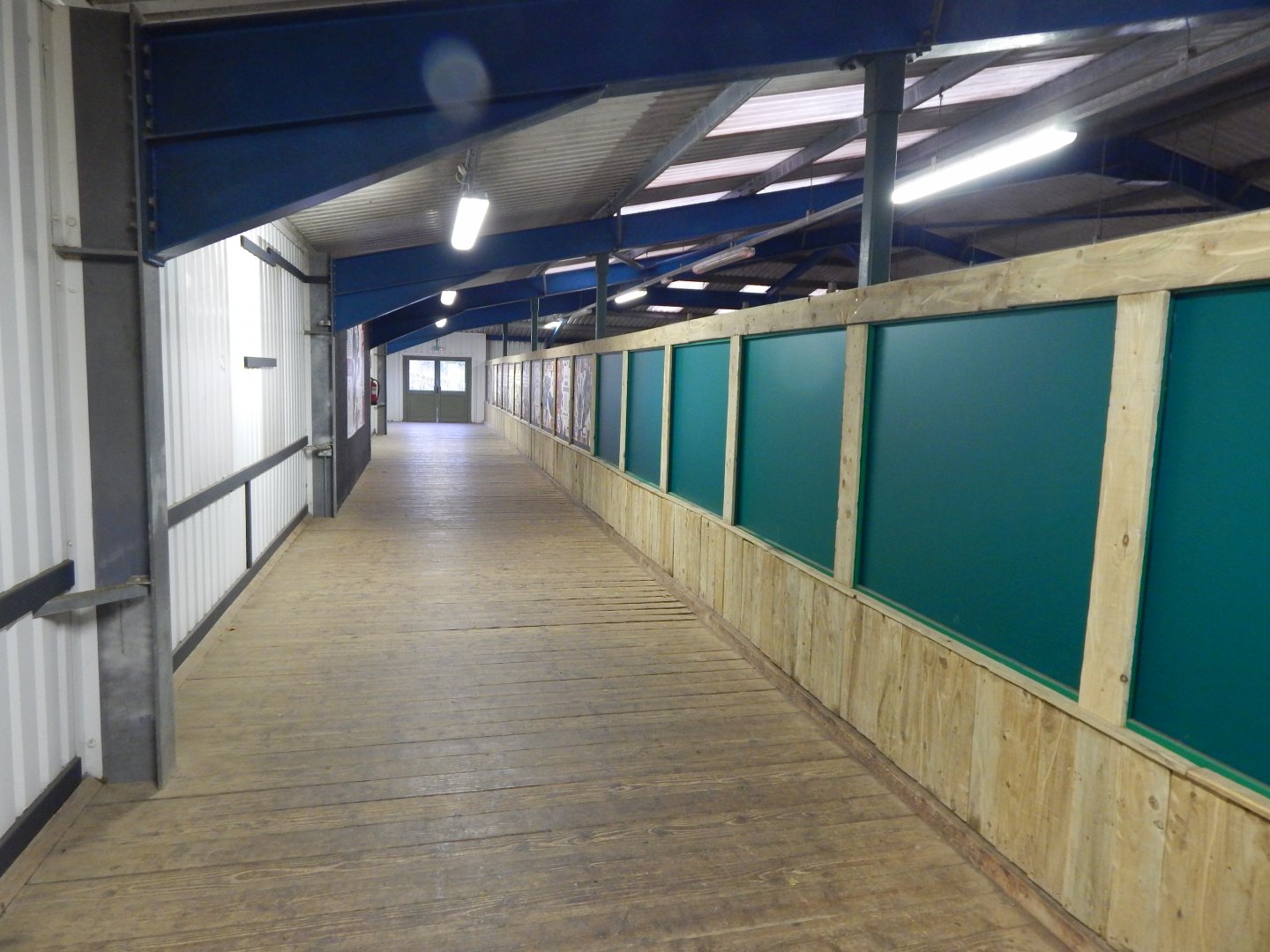 Rothschild's giraffe exhibit indoors 111224