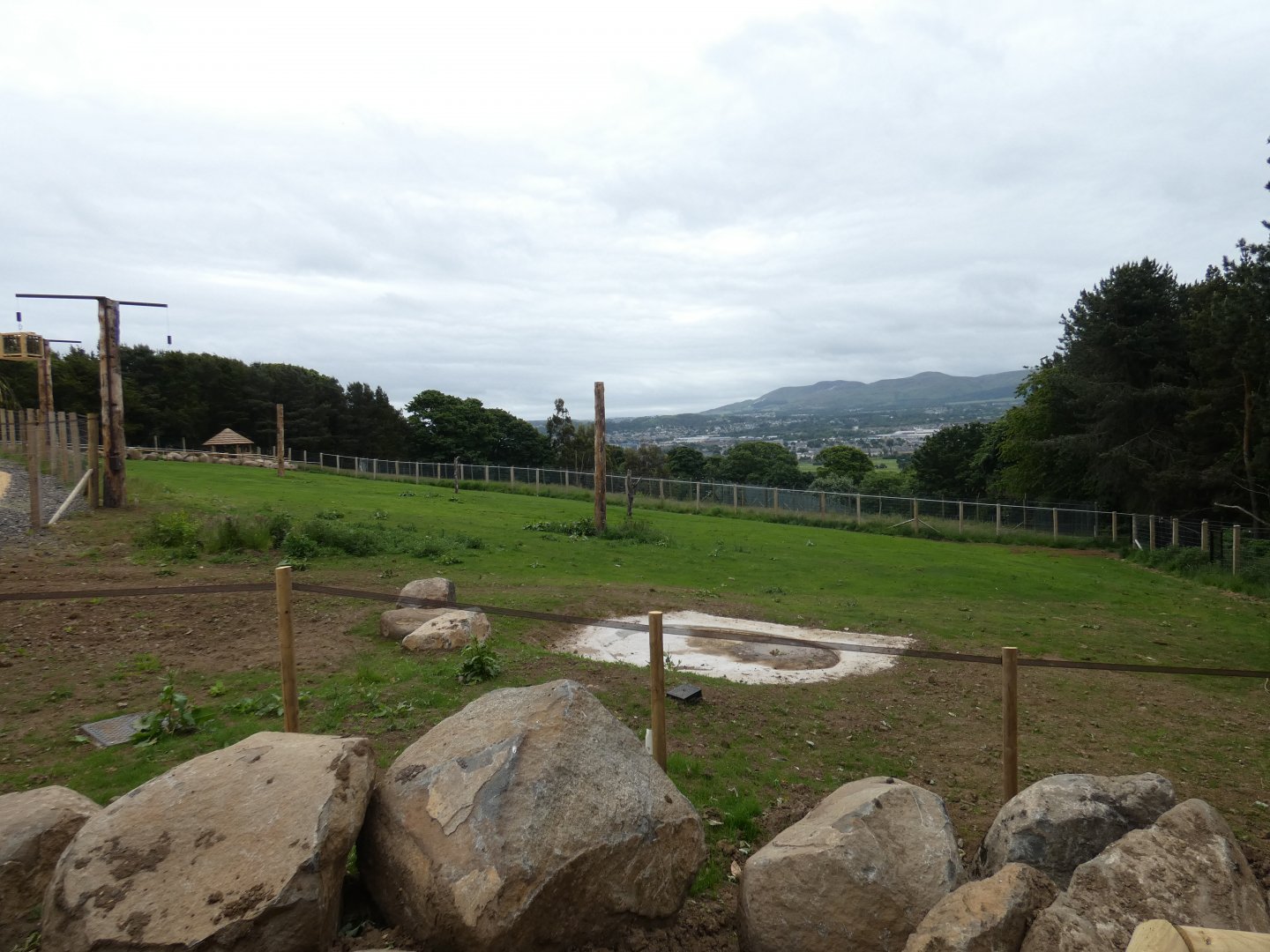 Rothschild's giraffe grass enclosure