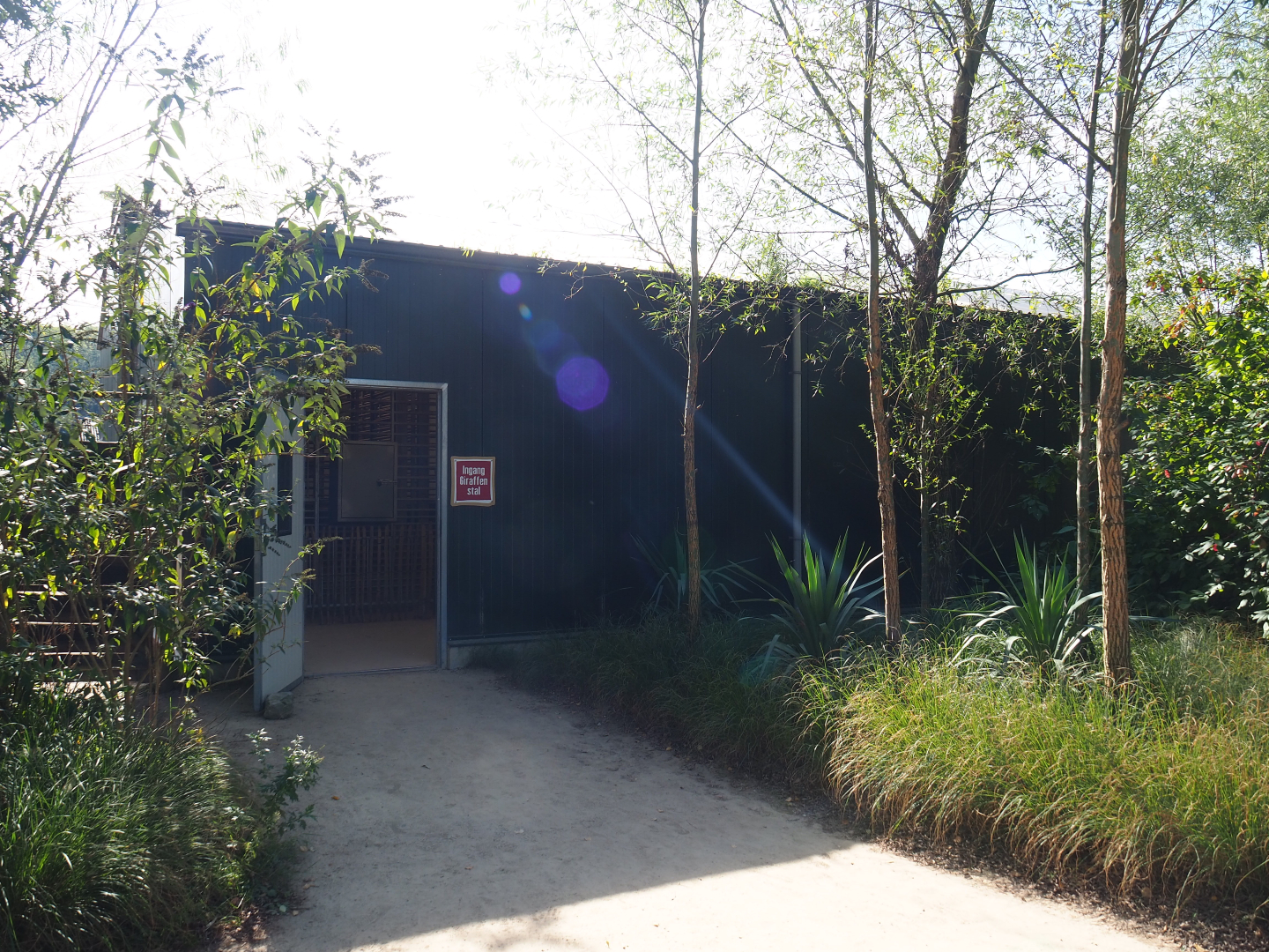 Rothschild's giraffe house, 2019-09-15