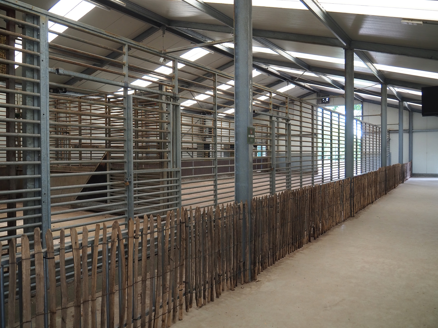 Rothschild's giraffe indoor paddocks, 2022-06-12