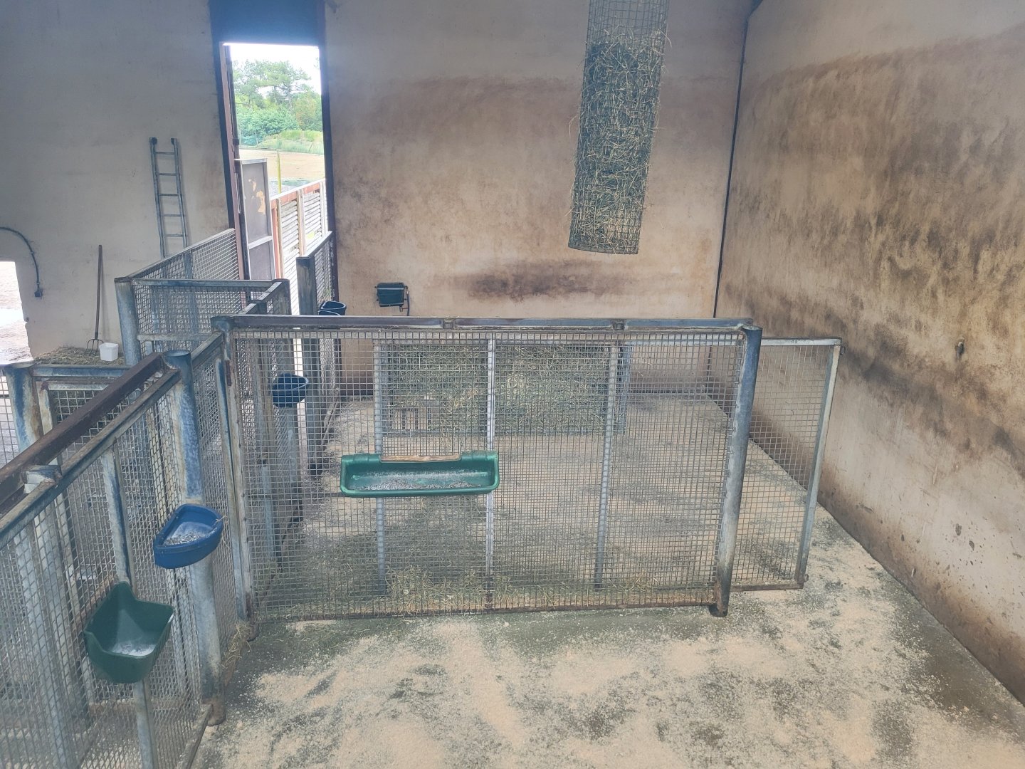 Rothschild's giraffe indoors exhibit -Zoo du bassin d'Arcachon (2024)