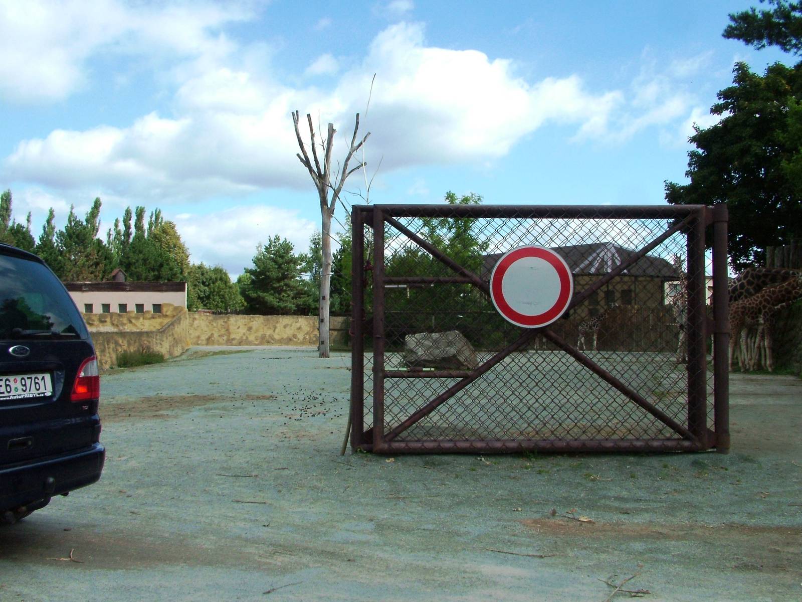 Rothschild's Giraffe Paddock at Dvur Kralove, 27/08/12