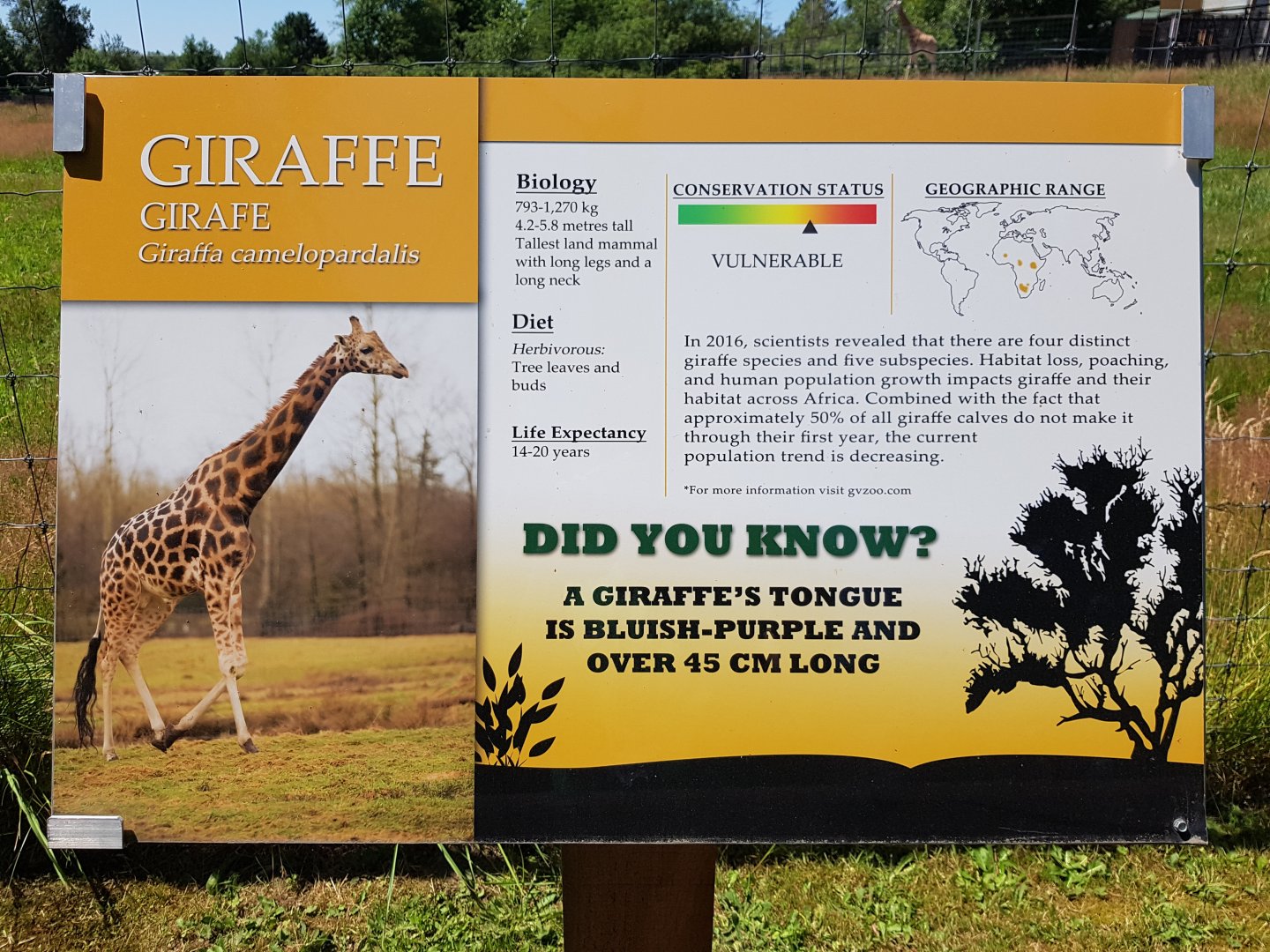 Rothschild's Giraffe Sign