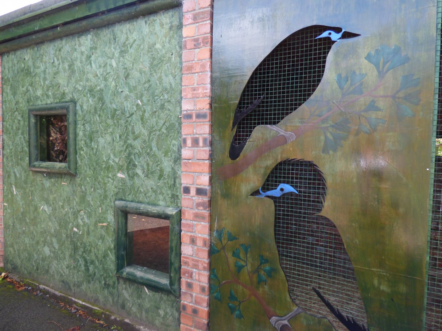 Rothschild's Myna Viewing Area