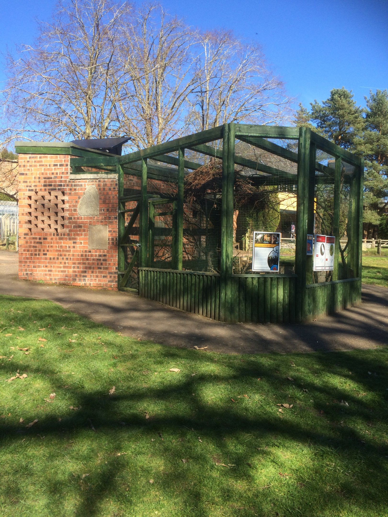 Rothschild's mynah & Java sparrow aviary