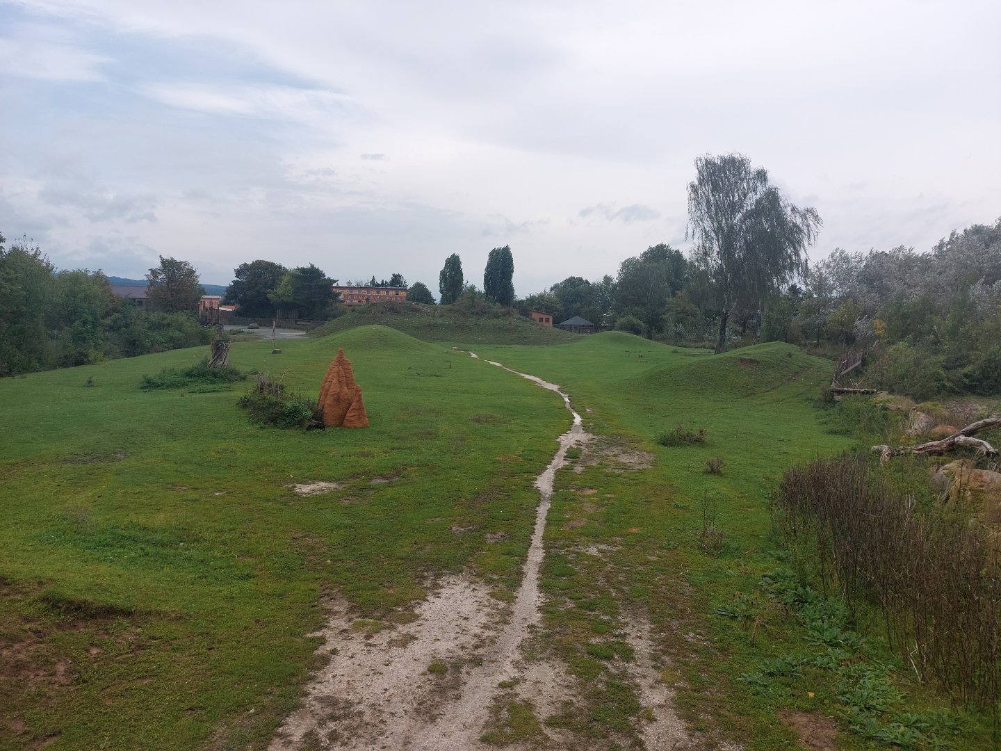 Rotschildt's giraffe savanna