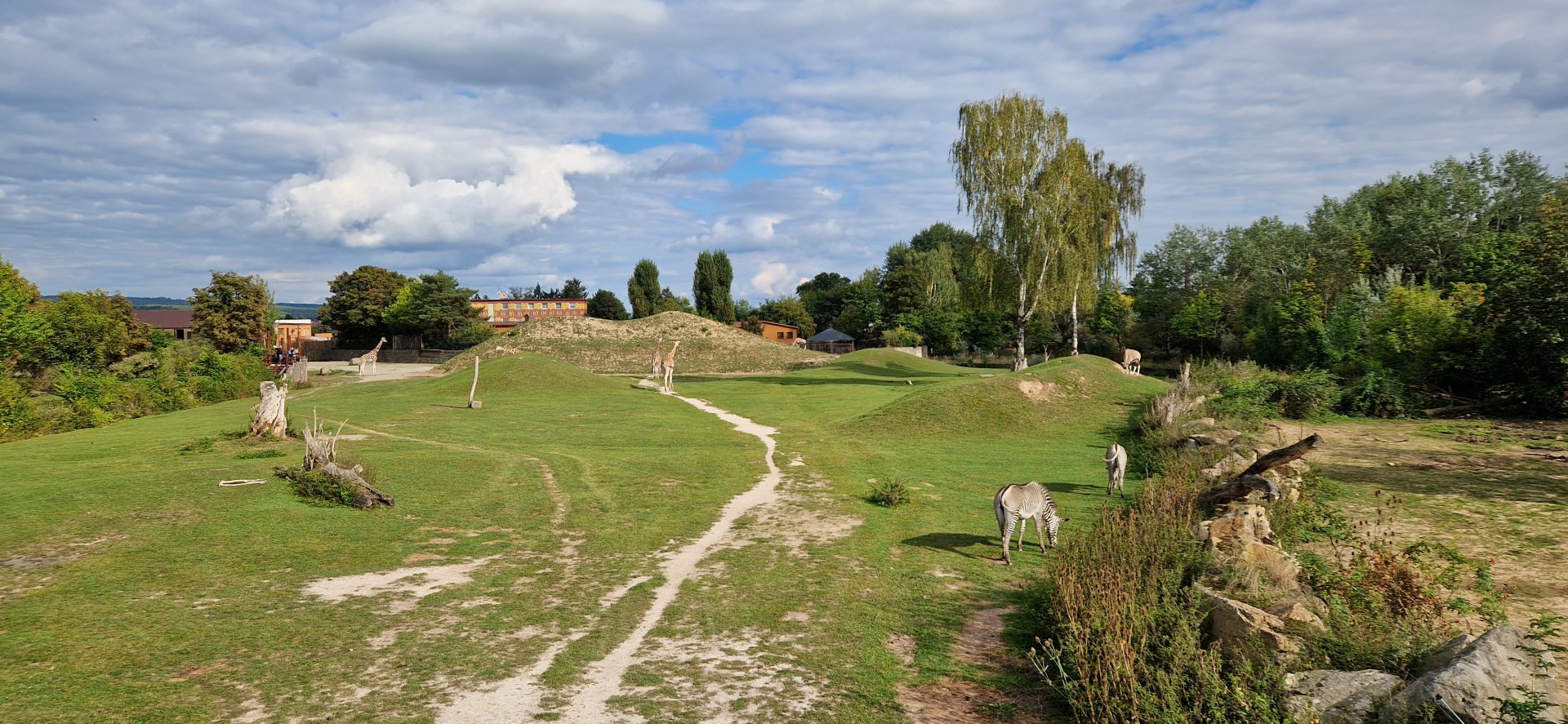 Rotschildt’s Giraffes/Grevy's Zebra/Gemsbok Savanna