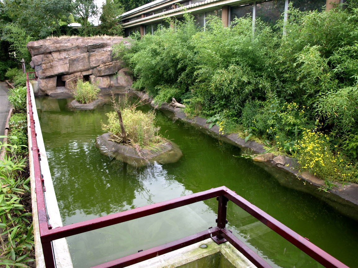 Rotterdam Zoo - Alligator exhibit