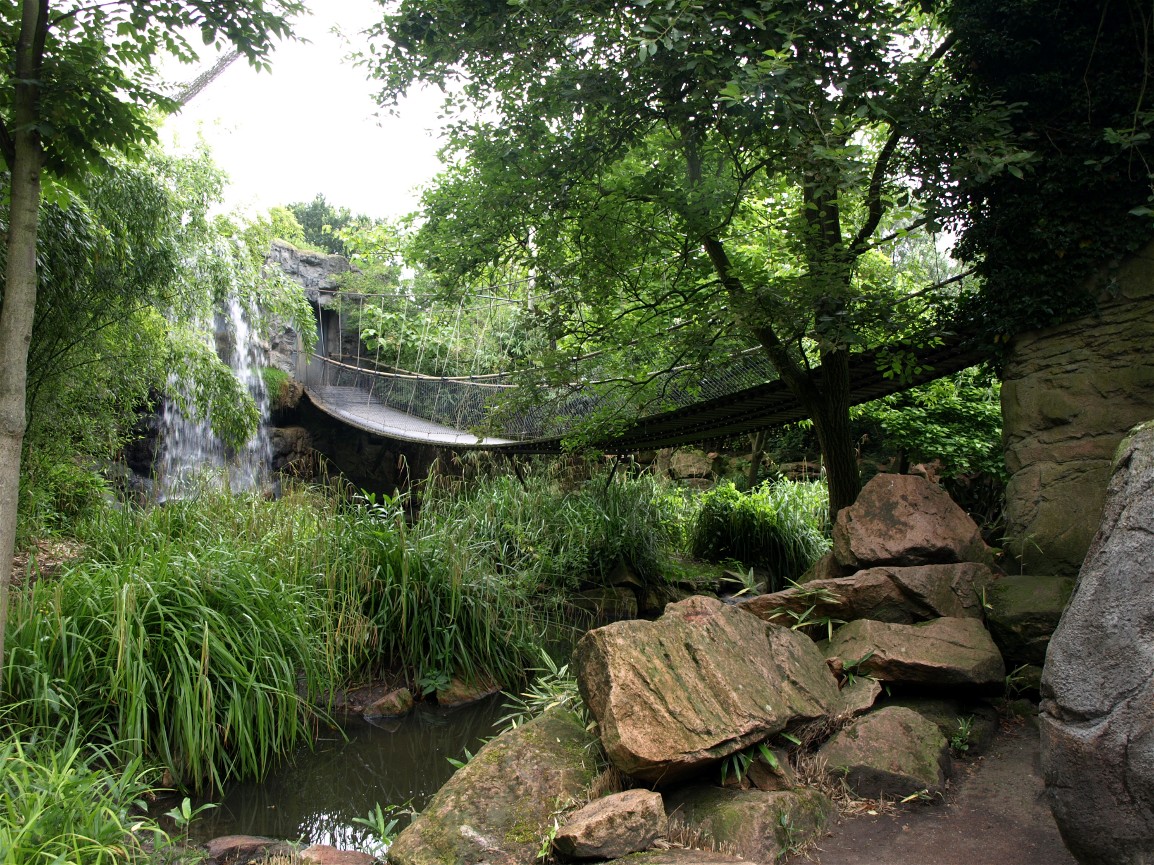 Rotterdam Zoo - Asian Marsh