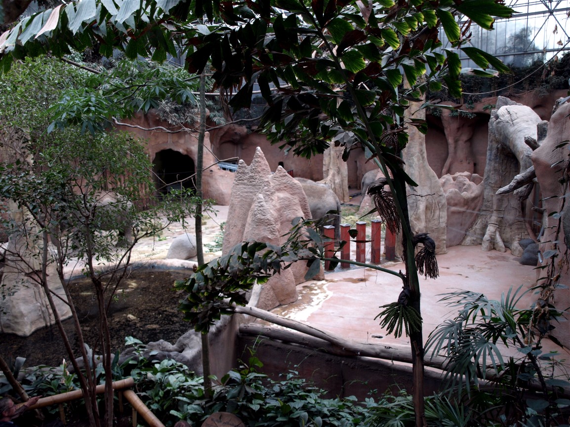 Rotterdam Zoo - Elephant indoor exhibit