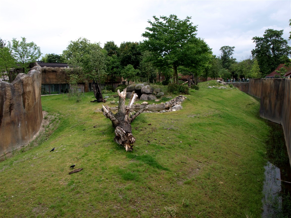 Rotterdam Zoo - Gorilla exhibit