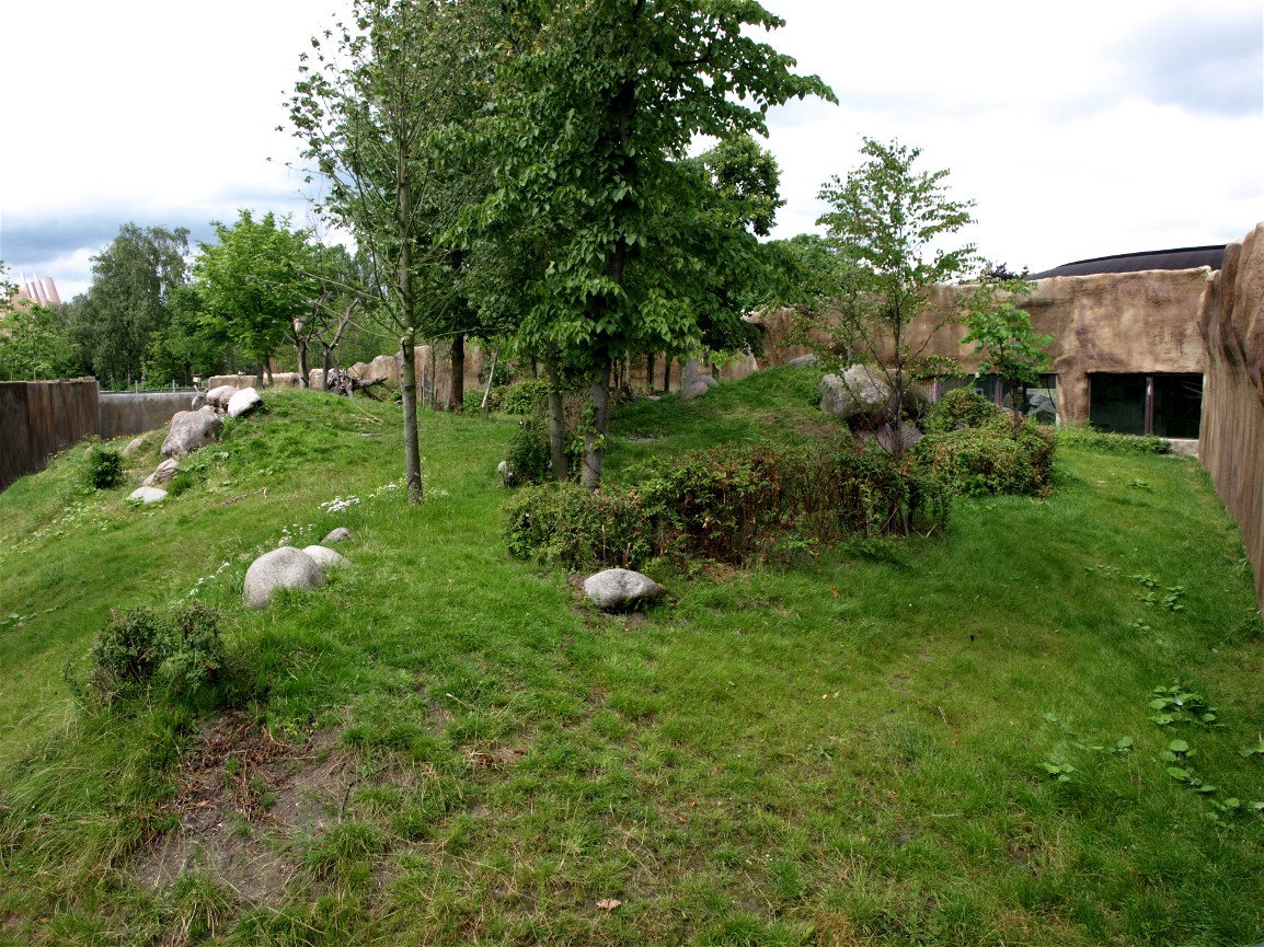 Rotterdam Zoo - Gorilla exhibit