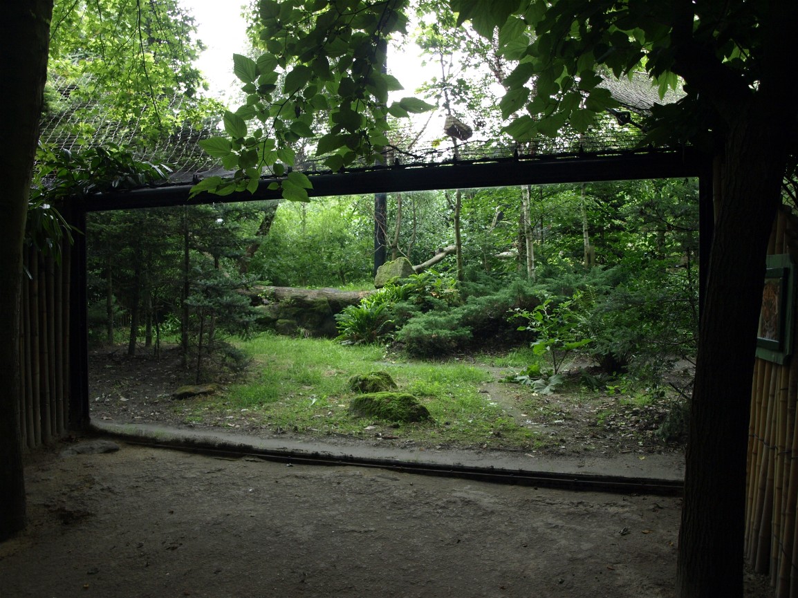 Rotterdam Zoo - Leopard exhibit