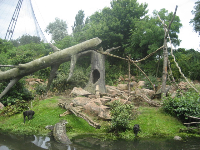 Rotterdam Zoo - Macaque Island