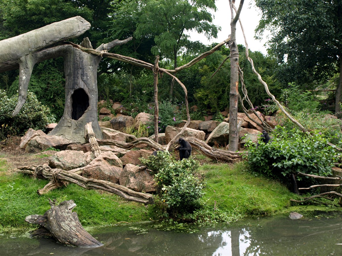 Rotterdam Zoo - Macaque island