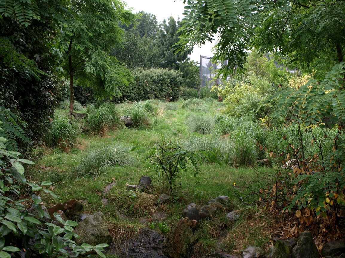 Rotterdam Zoo - Maned wolf exhibit