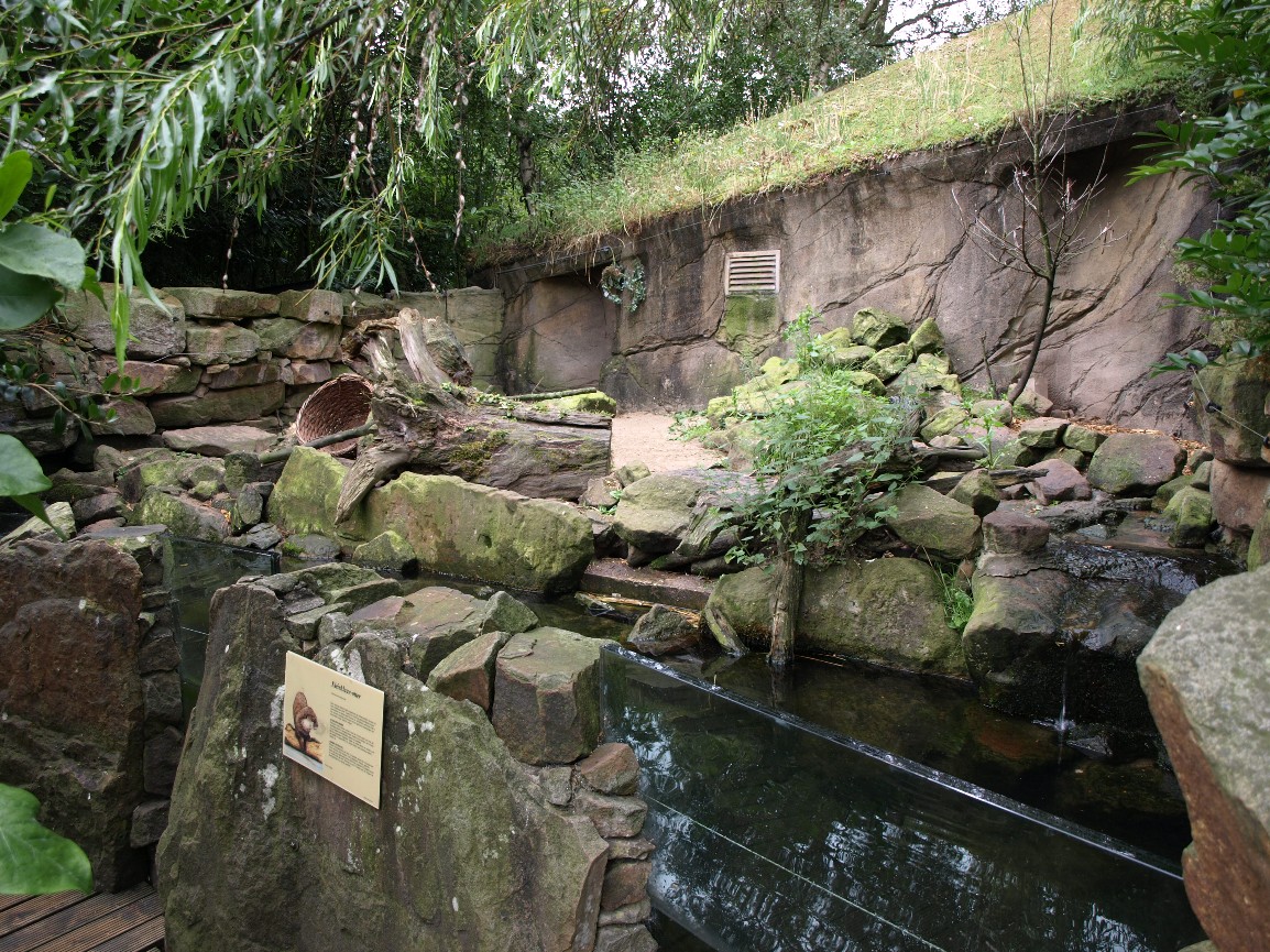 Rotterdam Zoo - Otter exhibit