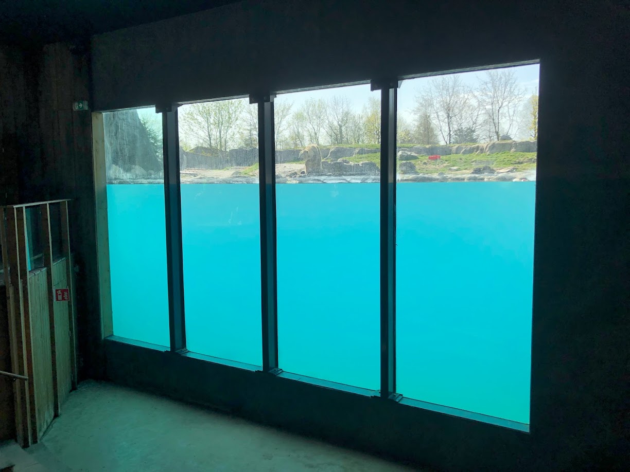 Rotterdam Zoo- polar bear underwater viewing- 2022